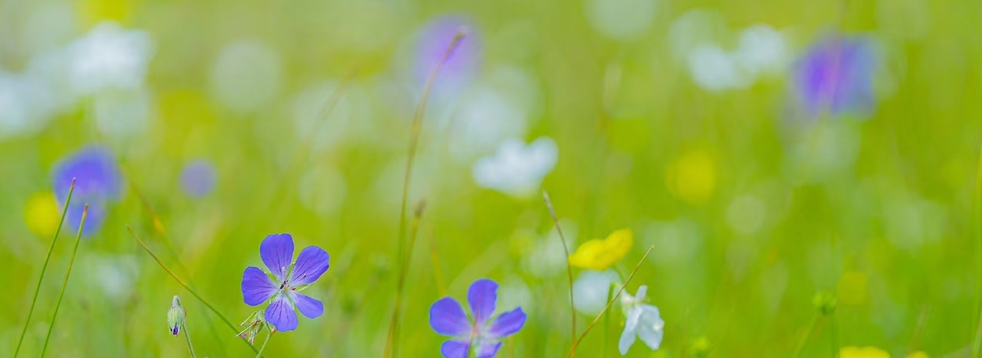 星视野眼健康管理中心